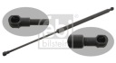 FEBI BILSTEIN RESSORT GAZEUSEphoto 12