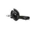 RIDEX 854S0720 AMORTISSEUR GAZEUX ENTRETOISE SUSPENSIONS AVANT LEWOphoto 10