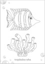 Раскраска для малышей Рисуем Морских Животных 2+ Лепрекон