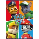 одеяло флисовое одеяло PAW PATROL покрывало 100х140