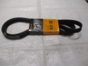 918 065_B COURROIE /MICRO/ 6PK/2080photo 14