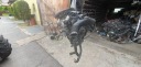 ДВИГУН 1.6THP 156KM КОМПЛЕКТНИЙ PEUGEOT RCZ 5F02  (17599972778) фото min 8