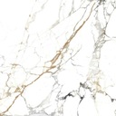 Школьный керамогранит Carrara Gold 60 х 120 Egen