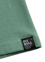Pánske , klasické športové tričko PIT BULL Small LOGO | MÄTOVÁ| XL Dominujúca farba zelená