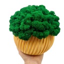 Вазон с мхом хроботек, 23 см, мох хроботек в золотом горшке, 3D печать