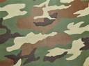 ОБОИ КАМУФЛЯЖНЫЕ ОБОИ ВОЕННАЯ МОЛОДЕЖЬ FILSELINE