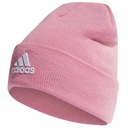 ЗИМНЯЯ ШАПКА ADIDAS С ЛОГОТИПОМ ИЗ ШЕРСТИ HL4808