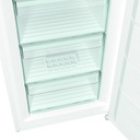 Gorenje FN619EEW5 Морозильная камера, белая, с ящиком No Frost, 185 см, 280 л A++