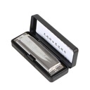 Губная гармошка SWAN 10C Клавиша C ДИАТОНИЧЕСКАЯ + ПЛАСТИКОВЫЙ КОРПУС 10 КАНАЛЬНЫЙ