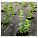 Агротекстиль Агротканин для сорняков 70г черный 1,1х50м УФ 3% сильные анкеры