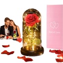 ВЕЧНАЯ РОЗА В СТЕКЛЕ КРАСОТА И ЗВЕРЬ ЗАЧАРОВАННАЯ РОЗА НАВСЕГДА РОЗА