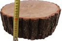 Диск из среза дуба толщиной 30-40 см.