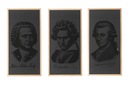 Установите акустические экраны изображения 3 ПК, декоративные дерева 50x100 4 см. Офис