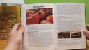 infouprawa JAK UPRAWIAĆ WARZYWA Książka papierowa o uprawie warzyw