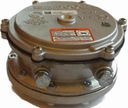 Газовый фильтр в сборе IMPCO VFF30 Original