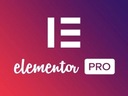 Elementor Pro + ПАКЕТ 8 премиум-плагинов!