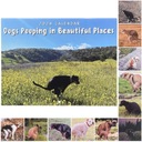 Настенный календарь на 2024 год. Веселые собачки какают в красавице