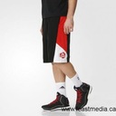 Шорты Adidas NBA Derrick Rose AX7843