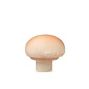 Оли и Кэрол - Игрушка-прорезыватель в виде гриба Маноло