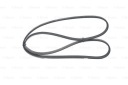 COURROIE MULTICANAL 4PK856photo 12