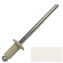 ЗАКЛЕПКИ 4X8мм - ЦВЕТ RAL9002 - 1000 ШТ.