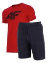 4F КОМПЛЕКТ МУЖСКОЙ ФУТБОЛКИ И ШОРТ