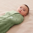 Спальный мешок ergoPouch Swaddle 3-6M 1.0TOG Ива