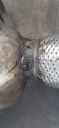 CATALYSEUR FILTRE FAP 2.0D N47 BMW X1 E84 140976photo 10
