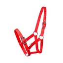 СТАРТ недоуздок для жеребенка