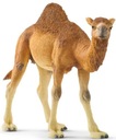 SCHLEICH FIGÚRKA ŤAVA DROMADER 10 CM WILD LIFE Značka Schleich