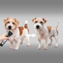 Silný zastrihávač psov bezdrôtový tichý LCD Obchodné meno TRYMER DO STRZYŻENIA ZWIERZĄT