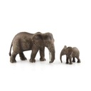 Rôzne druhy zvierat vo voľnej prírode Akčný samec slona Druh iný