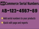 Плагин Easy Serial Numbers для Woocommerce