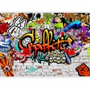ФОТО ОБОИ ГРАФФИТИ SKATE STREETART НАСТЕНА МОЛОДЕЖНАЯ СПАЛЬНЯ 250x175