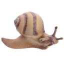 Взуття Багатоколірний Inny (7X3.5X4.5Cm)