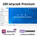 Аддон Kadence Theme Pro + Блоки + Дополнения Woo