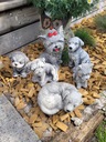 Гипсовые собачки, набор гипсовых фигурок, гипсовые собачки, 3D декор, подарок