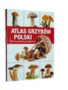 АТЛАС ГРИБОВ ПОЛЬШИ Путеводитель грибника красный
