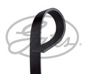 BELT MULTI-RIBBED 7PK1035 photo 13 - milautoparts-fr.ukrlive.com