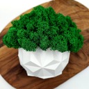 Вазон с мхом хроботек CHROBOTEK MOSS в белом горшке, 3D принт №2