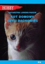 ДОМАШНЯЯ КОШКА, ИЛИ КРЫШНАЯ КОТА