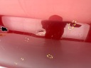 VOLVO V60 S60 II 18R- PORTES DROIT AVANT DROIT AVANT 31424598photo 10