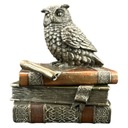 скульптура-статуэтка SMALL BOX OWL ON BOOKS VERONESE (WU75509A4)