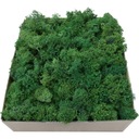 Обрезки мха Forest Green, Картон 600г.