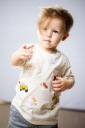 Meklams Catters Patch Stickers для одежды