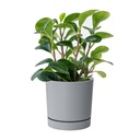 Круглый вазон Низкий вазон TUBO P DPOP110 Grey