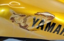 TANK TANK FUEL 4YR241103002 YAMAHA FAZER FZS 600 1998 - 2003R  photo 11