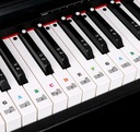 NAKLEJKI NUTY KLAWIATURA PIANINO KEYBOARD KOLOROWE Kod producenta NKK