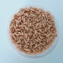 БЕЛЫЙ ЧЕРВЬ ОП. 100мл