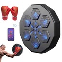 ТРЕНАЖЕР ПО БОКСУ ДЛЯ НАСТЕННОГО КРЕПЛЕНИЯ, LED МУЗЫКА